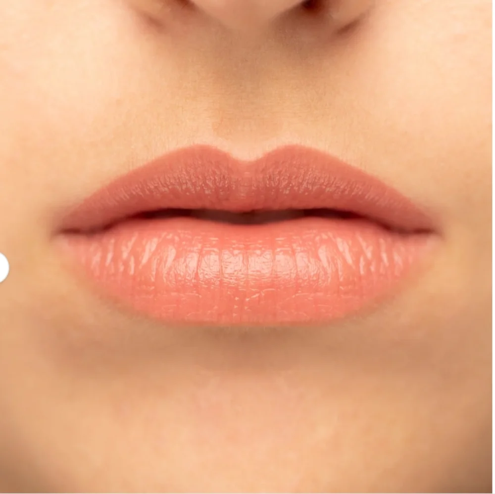 🌺Kevyn Aucoin Suspicious Unforgettable Lipstick Shine
